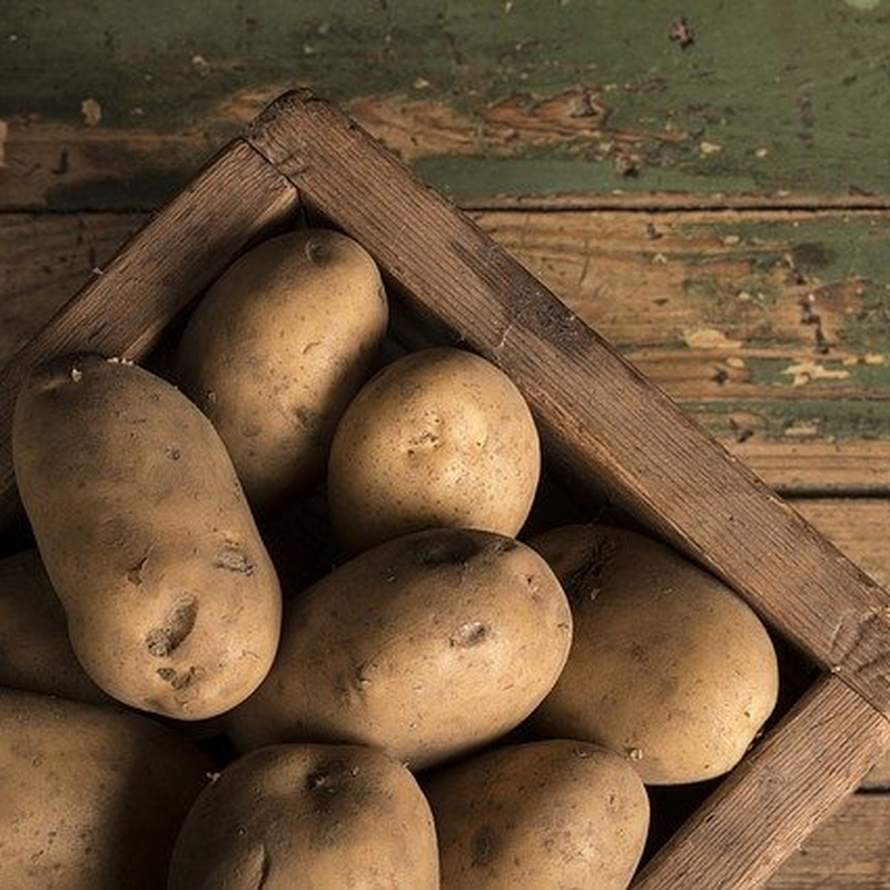 Juhuhuuu, krompirjeve počitnice in inštrukcije so tuuuu